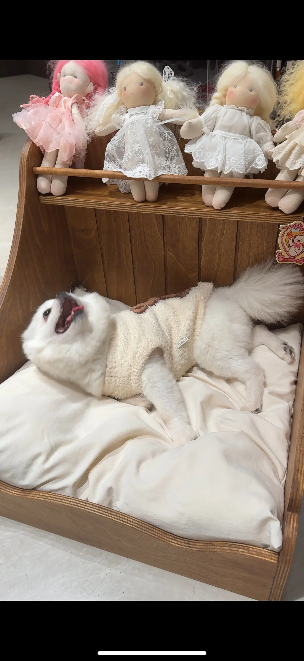 small wooden cat bed with mattress in a customer's home - Nordic Vintage Solid Wood Pet Bed